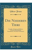 Die Niederen Tiere: Einzeller, SchwÃ¤mme, Hohltiere, WÃ¼rmer, Muschellinge, StachelhÃ¤uter, Weichtiere Und Krebse (Classic Reprint)