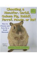 Choosing a Hamster, Gerbil, Guinea Pig, Rabbit, Ferret, Mouse, or Rat