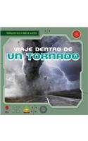 Viaje Dentro de Un Tornado (a Trip Inside a Tornado)