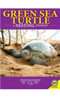 Green Sea Turtles: A Nesting Journey