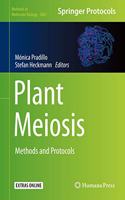 Plant Meiosis