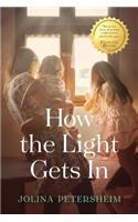 How the Light Gets in