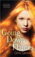 Going Down in Flames (a Going Down in Flames Novel)