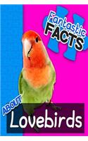 Fantastic Facts about Lovebirds: Illustrated Fun Learning for Kids: Illustrated Fun Learning for Kids