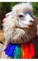 Alpaca with a Colorful Scarf Animal Journal: 150 Page Lined Notebook/Diary(English)