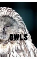 Owls
