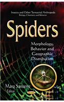 Spiders