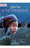 Que Fue El Tren Clandestino?