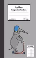 Graph Composition Notebook 5 Squares per inch 5x5 Quad Ruled 5 to 1 100 Sheets