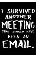 I Survived Another Meeting That Should Have Been An Email.