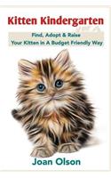 Kitten Kindergarten
