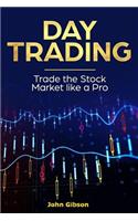 Day Trading: Trade the Stock Market Like a Pro(1 Day Trading)