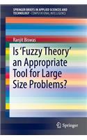 Is ‘Fuzzy Theory’ an Appropriate Tool for Large Size Problems?