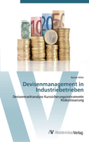 Devisenmanagement in Industriebetrieben