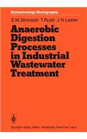 Anaerobic Digestion Processes in Industrial Wastewater Treatment