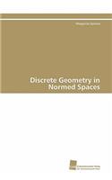 Discrete Geometry in Normed Spaces