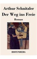 Weg ins Freie: Roman