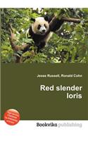 Red Slender Loris: (English)