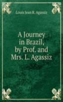 Journey in Brazil, by Prof. and Mrs. L. Agassiz