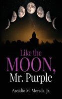 Like The Moon, Mr. Purple