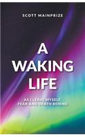 Waking Life - As I Leave Myself, Fear and Death Behind