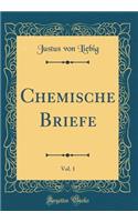 Chemische Briefe, Vol. 1 (Classic Reprint)