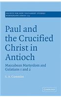 Paul and the Crucified Christ in Antioch