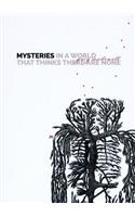 Mysteries in a World That Thinks There Are None