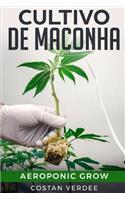 Cultivo De Maconha