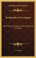 Butterflies of New England