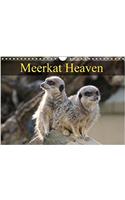 Meerkat Heaven 2018: Meerkats Basking in the Morning Sunshine(Calvendo Animals)