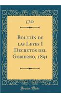 Boletï¿½n de Las Leyes I Decretos del Gobierno, 1891 (Classic Reprint)