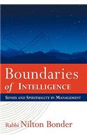 Boundaries of Intelligence