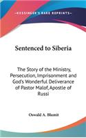 Sentenced to Siberia