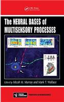 The Neural Bases of Multisensory Processes
