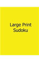 Large Print Sudoku