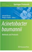 Acinetobacter baumannii