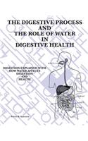 Digestive Process and the Role of Water in Digestive Health