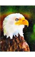 Journaling Notebook (Eagle 8.5