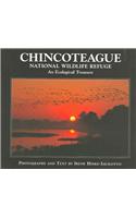 Chincoteague National Wildlife Refuge: An Ecological Treasure