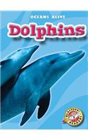 Dolphins