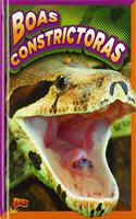 Boas Constrictoras