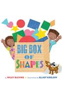 Big Box of Shapes: (Basic Concepts)