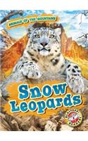 Snow Leopards