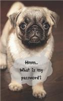 Hmm...What is my password?