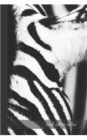 mad zebra notes