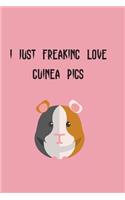 I Just Freaking Love Guinea Pigs