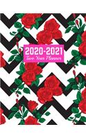 2020-2021 Two Year Planner: Handy 24-Months Calendar, 2-Year Appointment Business Planners, Agenda Schedule Organizer Logbook and Journal - Art Cover 00023188