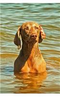 Vizsla Dog Lined Journal: Canine Gift Notebook for Dog Lovers