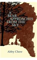Bear Approaches from the Sky
